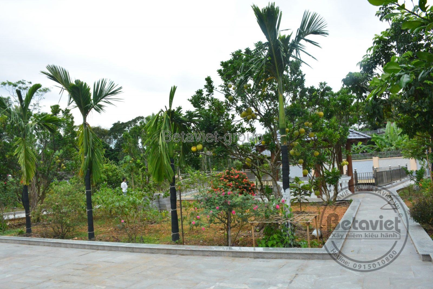 Thi công biệt thự TC16082, giai đoạn hoàn thành – sân vườn (3)