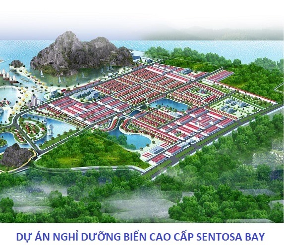 khu đô thị quảng hồng cẩm phả