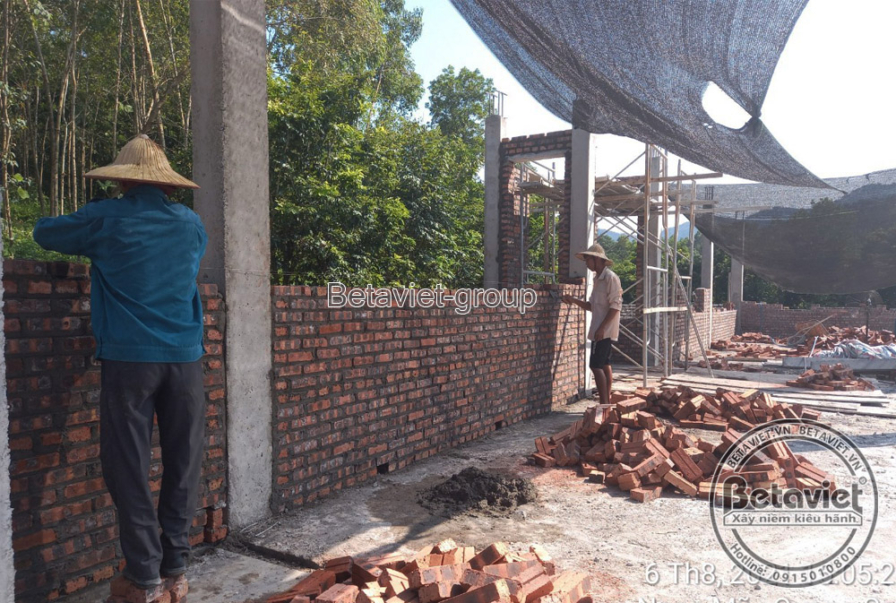 Thi công biệt thự 2 tầng tân cổ điển TC21101, giai đoạn thi công phần thô – kết cấu phần thô (3)