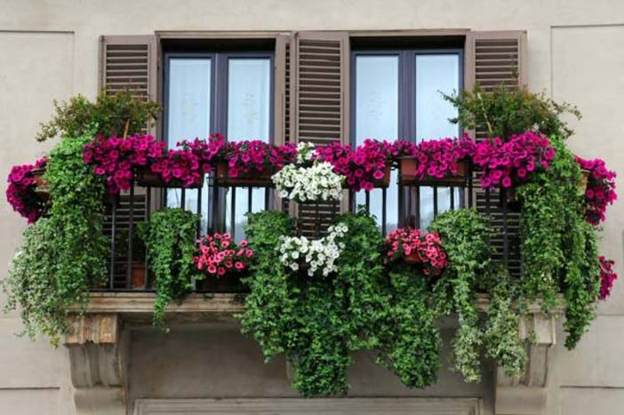 Gợi ý tuyệt vời cho không gian sống gần gũi với thiên nhiên