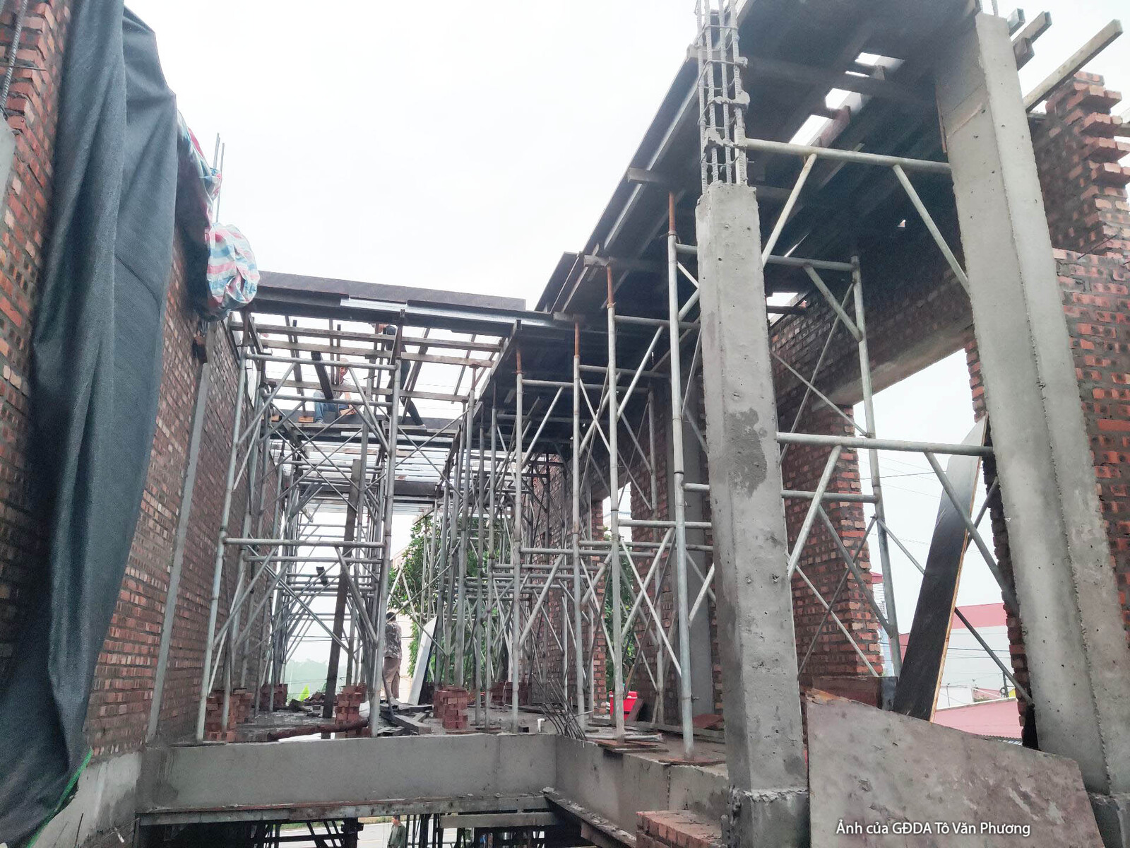 Không gian bên trong công trình với hệ giàn giáo và cốt thép dày đặc, chuẩn bị cho việc đổ bê tông sàn. Ánh sáng tự nhiên…