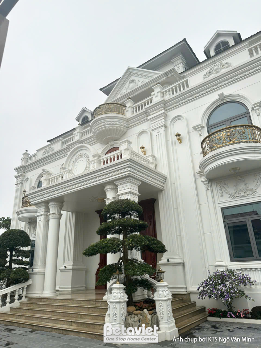 Thi công biệt thự 2 tầng tân cổ điển TC25811, giai đoạn hoàn thành – mặt ngoài công trình (3)