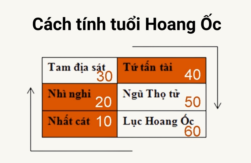 Cách tính tuổi hoang ốc